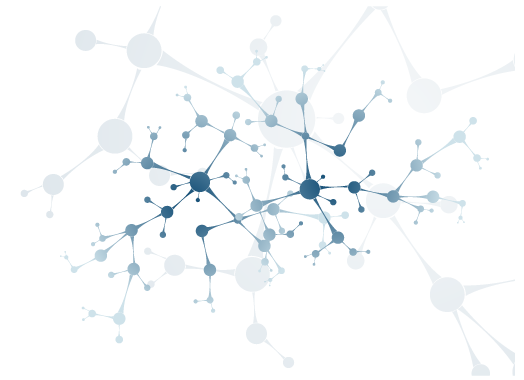 sebac_neuronas